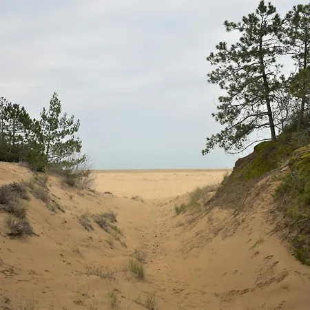 Apartment Three Flat With Wi-fi And Private Parking Space 100mt From Lignano